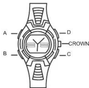 A B C D CROWN