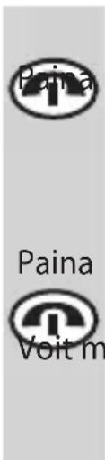 Paina Paina Voit m