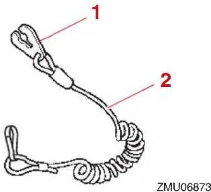 1 2 ZMU06873