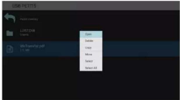 USB PETITS Project inventory LOSTONIR 10 bit % We Transfer pdf 17.488 Open Delete Copy Move Select Select All