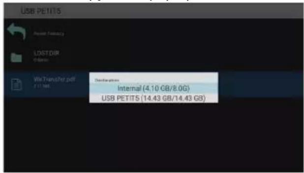 USB PETITS Power Supply LOSTDIR 7.8mm WeTransfer.pdf 11.164 Destination Internal (4.10 GB/8.0G) USB PETITS (14.43 GB/14.43 GB)