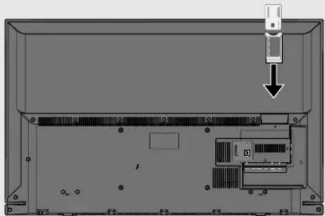 GRUNDIG Copenhagen 49 CLE 6725 BP - COMMON INTERFACE -LIITÄNNÄN KÄYT-TÄMINEN - 1
