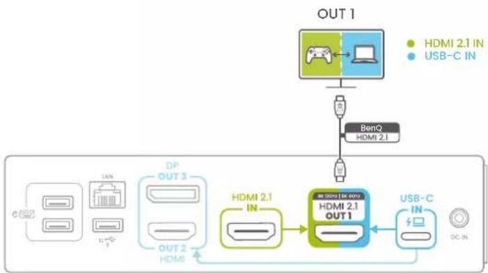 BENQ DP1310 - Connecting displays - 2