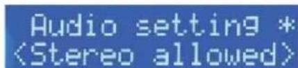 Audio setting *
