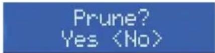Sunwind 541330 - PRUNE - 2