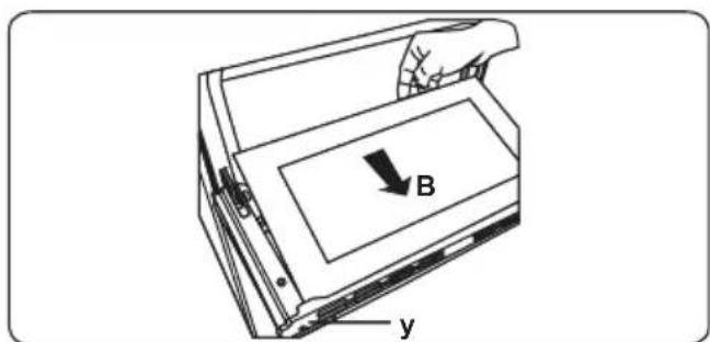 B y