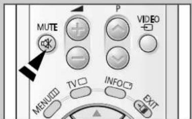MUTE P VIDEO TV INFO EXIT