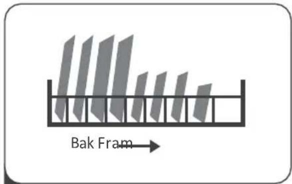 Bak Fram