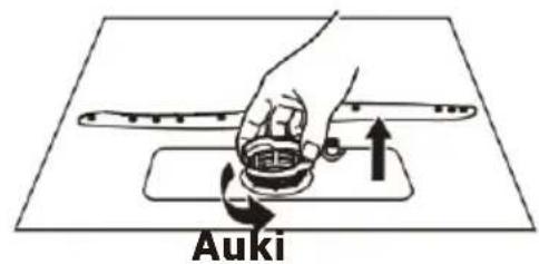 Auki