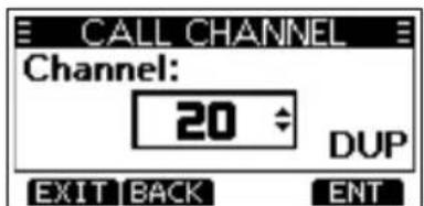 CALL CHANNEL Channel: 20 DUP EXIT BACK ENT