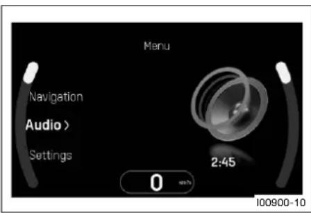 Menu Navigation Audio > Settings 0 2:45 100900-10