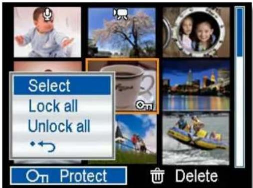 Select Lock all Unlock all •← On Protect Delete