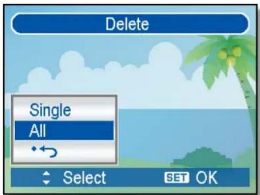 Delete Single All Select SET OK