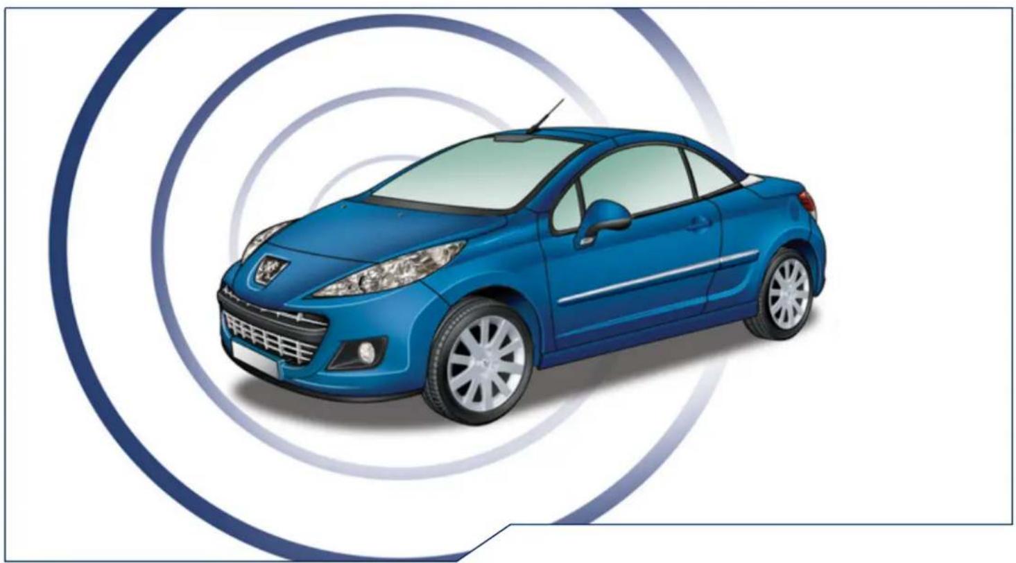 PEUGEOT 207 (2013) - Valmistajan tarra. - 4