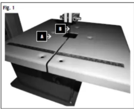 Fig. 1 A B