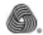 CANDY CSO C8DRGR-IS - תָהַעְרָה אַלְאָה WOLMARK - 1