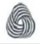 CANDY CSO C8DRGR-IS - EASY IRON בַרְשָׁה - 9