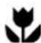 ZANUSSI PWL49 - Service - 1