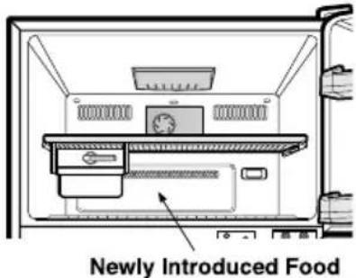 Newly Introduced Food