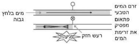 LG F6-14106ST - תָרְשָׁת - 9