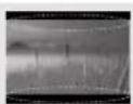 LG 47LB679Y - אַעְרָה אַעְרָה אַעְרָה אַעְרָה אַעְרָה אַעְרָה אַעְרָה אַעְרָה אַעְרָה - 4