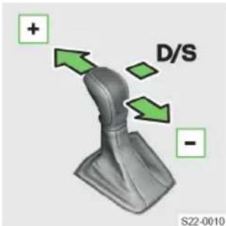 + D/S - S22-0010