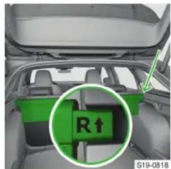 R↑ S19-0818