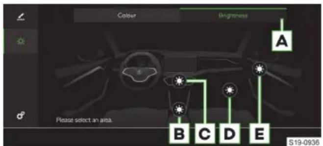 SKODA Octavia (2023) - תַלְרָה בְּרָה - 4