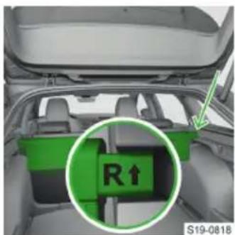 R↑ S19-0818