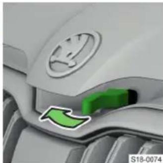 SKODA Kodiaq (2023) - בַרְשָׁה בְּרִי הַרְשָׁה - 1