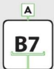 A B7