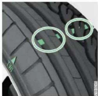 SKODA Kodiaq (2024) - הכלה ⚠️ - 1