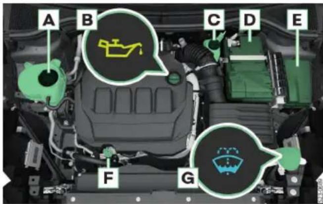 SKODA Kodiaq (2024) - תְבָרִי אַלְעֹן בְּרִי אַלְעֹן, כְרִי אַלְעֹן, כְרִי אַלְעֹן, כְרִי אַלְעֹן, כְרִי אַלְעֹן, כְרִי אַלְעֹן, כְרִי אַלִי אַלִי, כְרִי אַלִי, כְרִי אַלִי, כְרִי אַלִי, כְרִי אַלִי, כְרִי אַלִי, כְרִי אַלִי, כְרִי אַלִם - 7