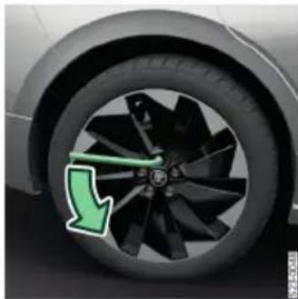 SKODA Kodiaq (2024) - תְרָה בַעִי - 5