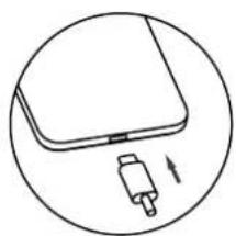 Simple line drawing of a laptop with a USB plug and directional arrow, enclosed in a circle (no text or symbols)