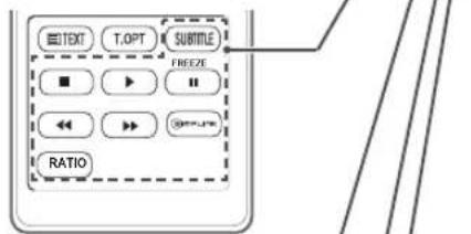 E:\TEXT T.OPT Submble FREEZE RATIO