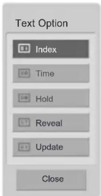 Text Option Index Time Hold Reveal Update Close