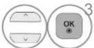 LG 26LK310Y - תְשָׁה בַרִי אַלְבָרִי אַלְבָרִי - 11