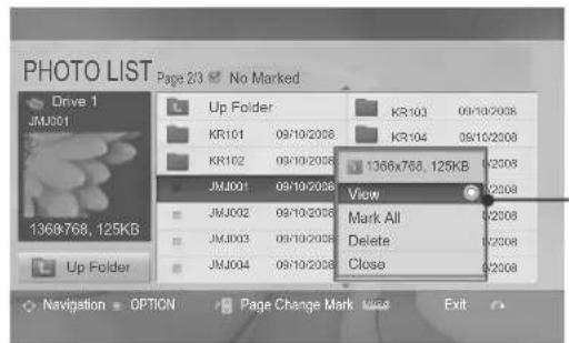 PHOTO LIST Page 23 No Marked Drive 1 JMJ001 Up Folder KR101 09/10/2008 KR102 09/10/2008 JMJ001 09/10/2008 View Mark All Delete Close 1368x768.125KB JMJ002 09/10/2008 JMJ003 09/10/2008 JMJ004 09/10/2008 1368x768.125KB Up Folder Navigation OPTION Page Change Mark 1255 Exit
