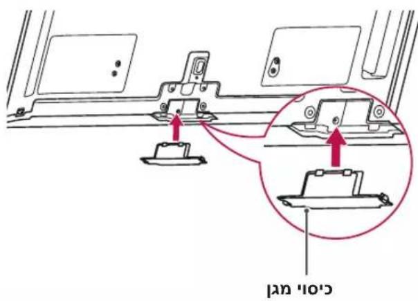 הכלה בְרַעּוֹתָה
