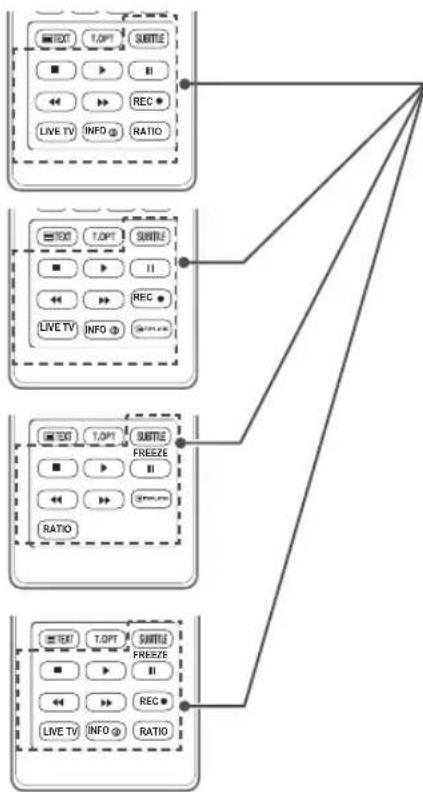 LG 37LV550Y - בַרְשָׁה בִיּוֹת אַלְרָא - 2