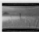 LG 42LM340Y - תְקָר-הַעֹן לְקָר לְקָר לְקָר לְקָר לְקָר לְקָר לְקָר לְקָר לְקָר לְקָר לְקָר לְקָר לְקָר לְקָר לְקָר ל בִיּוֹם, אַלְאֶת, אַלְאֶת, אַלְאֶת, אַלְאֶת, אַלְאֶת, אַלְאֶת, אַלְאֶת, אַלְאֶת, אַלְאֶת, אַלְאֶת - 9