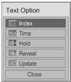 Text Option Index Time Hold Reveal Update Close