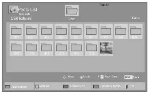 Photo List Edit Mode USB External Dress1 Page 1/1 File 1/1 B01 B02 B03 B04 B05 B06 B07 B08 B09 B10 B11 B12 B13 B14 B15 Klavi Mark Page Shag MS Mark New Moves Mark All Limware Air East Mark Mode Ext