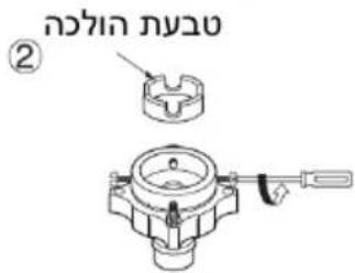 הכלה ②