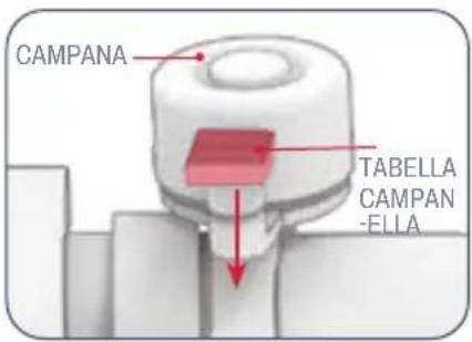 CAMPANA TABELLA CAMPAN-ELLA