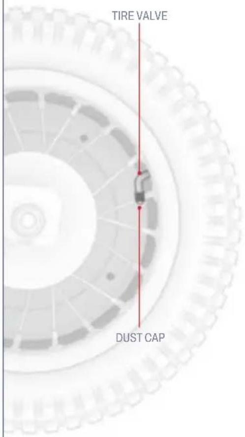 TIRE VALVE DUST CAP