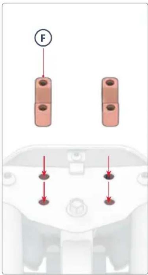 F