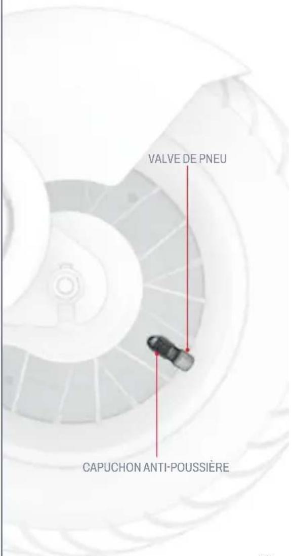 VALVE DE PNEU CAPUCHON ANTI-POUSSIÈRE