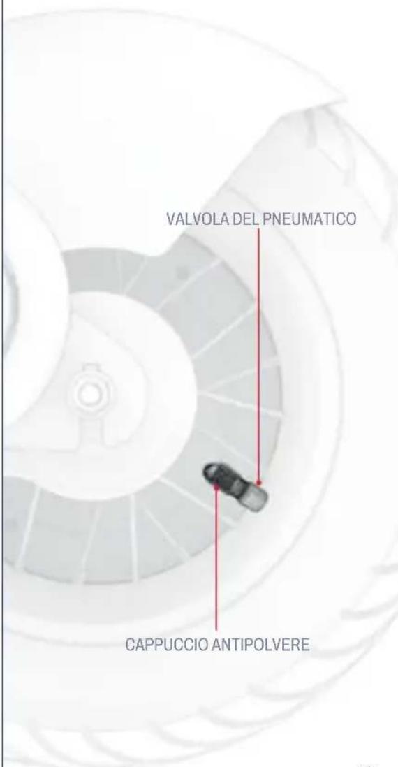 VALVOLA DEL PNEUMATICO CAPPUCCIO ANTIPOLVERE